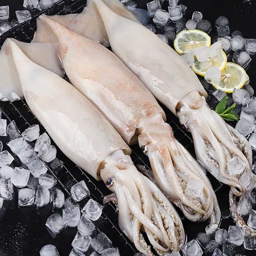 원양산 선동 오징어 통오징어 1kg 5-9미